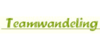 Logo van Teamwandeling.nl