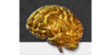 Logo van Train Your Brain