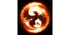 Logo van Phoenix Protection Systeem